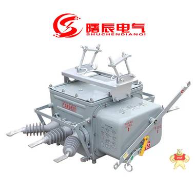 真空型10KV户外负荷开关FZW28-12/1250A