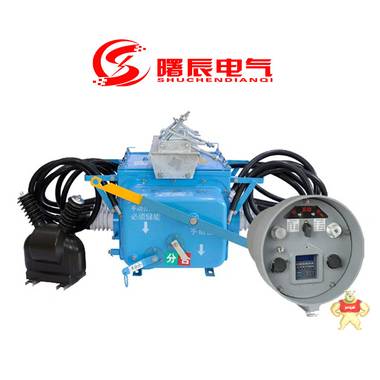 真空型10KV户外负荷开关FZW28-12/1250A