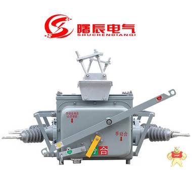真空型10KV户外负荷开关FZW28-12/1250A