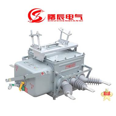 真空型10KV户外负荷开关FZW28-12/1250A