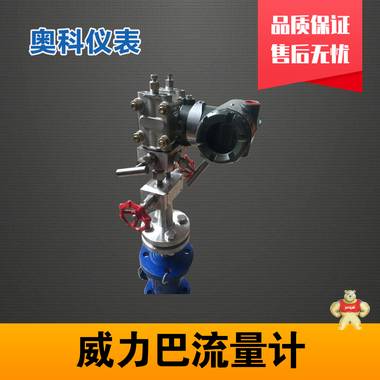 威力巴流量计厂家价格 威力巴流量计及价格,威力巴流量计厂家,威力巴流量计型号