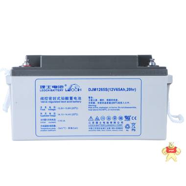 理士12V65AH 蓄电池 DJW1265S 铅酸免维护蓄电池 EPS UPS电源专用 