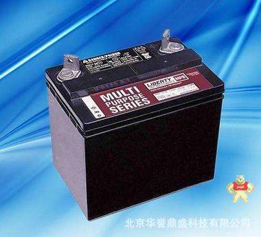 上海大力神蓄电池C-D12-9LBT西恩迪蓄电池12v9ah大力神报价 