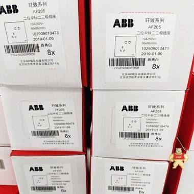 ABB 二位中标二三级插座 10A 雅典白色 AF205 ABB,开关插座,AF205,厦门