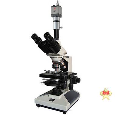 供应上海BM相衬生物显微镜BM-PHS（数码) 显微镜 质保一年 