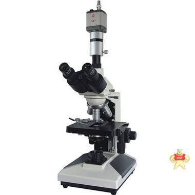 现货批发上海彼爱姆 生物显微镜XSP-BM-4（双目）医用显微镜 