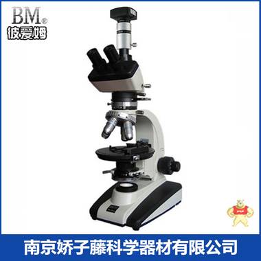 偏光显微镜 现货供应彼爱姆偏光显微镜BM-59XCD（电脑）显微镜 