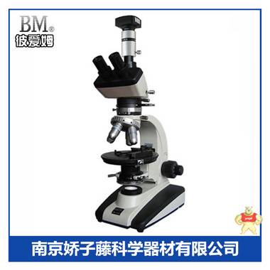 偏光显微镜 现货供应彼爱姆偏光显微镜BM-59XCD（电脑）显微镜 