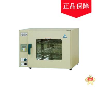供应上海精宏DHG-9203A电热恒温鼓风干燥箱 
