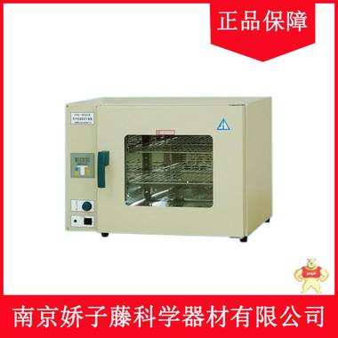 供应上海精宏DHG-9203A电热恒温鼓风干燥箱 