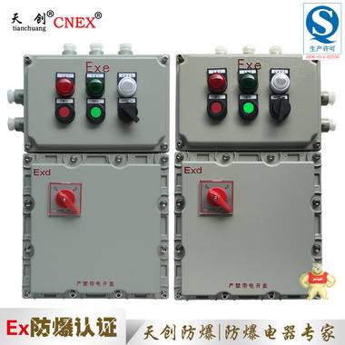 厂家直销 BXK 防爆控制箱 专业定制 有生产许可证 