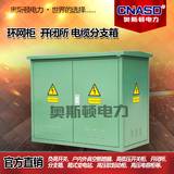 戶外電纜分支箱DFW 歐美式電纜分接箱 高壓環(huán)網(wǎng)柜10KV