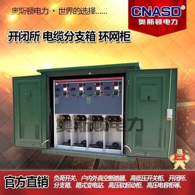 高压开关柜 成套电气设备柜 欧美式箱式变电站 