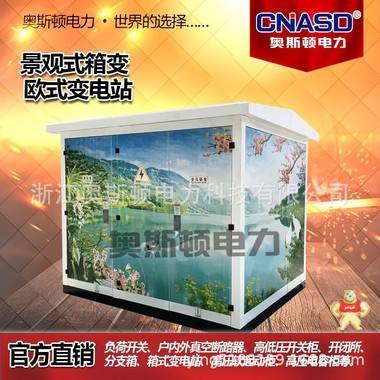 10KV箱式變電站 高壓箱變 美式箱變 歐式箱變 歐變 美變 
