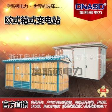 10KV箱式變電站 高壓箱變 美式箱變 歐式箱變 歐變 美變 