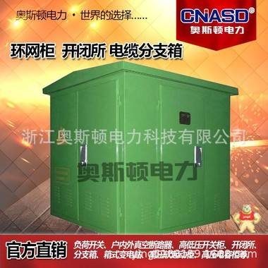 欧美式电缆分支箱 箱式变电站 高压环网柜 户外开闭所 