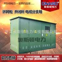 欧美式电缆分支箱 箱式变电站 高压环网柜 户外开闭所