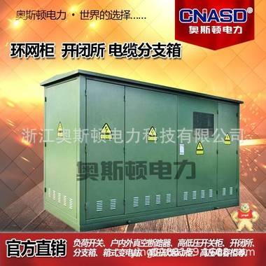 欧美式电缆分支箱 箱式变电站 高压环网柜 户外开闭所 