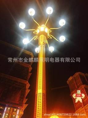 高品质城市道路LED景观中华灯 6米8米广场景区不锈钢中华欧式灯 