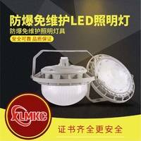 新黎明科创三防LED照明灯 100W防水防尘防腐LED照明灯