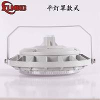 新黎明科创三防LED照明灯 100W防水防尘防腐LED照明灯