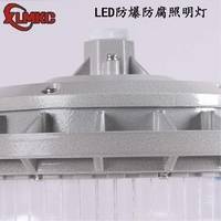 新黎明科创三防LED照明灯 100W防水防尘防腐LED照明灯