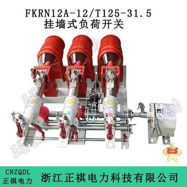 FKRN12-12/T125-31.5挂墙式负荷开关厂家直销 挂墙式负荷开关,FKRN12-12/T125-31.5,FKRN12负荷开关,FKRN12-12,FKN12开关