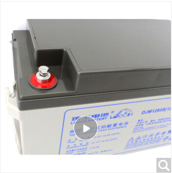 LEOCH 理士 DJM1265 UPS不间断电源 12V65AH EPS电源铅酸蓄电池