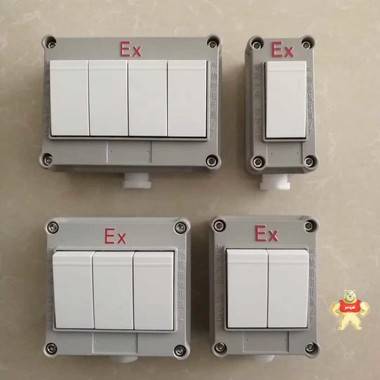 二开防爆墙壁开关 86型防爆墙壁照明开关 二开防爆墙壁开关 86型防爆墙壁照明开关,86型防爆墙壁照明开关,86型防爆墙壁照明开关