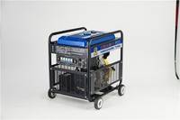 小型230A发电电焊机