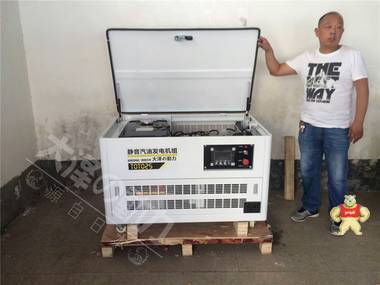 静音汽油发电机大泽10-60KW 大泽发电机,小型发电机,柴油发电机,汽油发电机,发电机