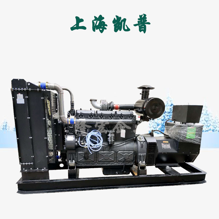 上海凯普 230KW 发电机组 开架型 柴油发电机 
