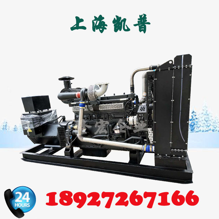 开架型 柴油发电机 250KW 上海凯普 发电机组 工厂直销 