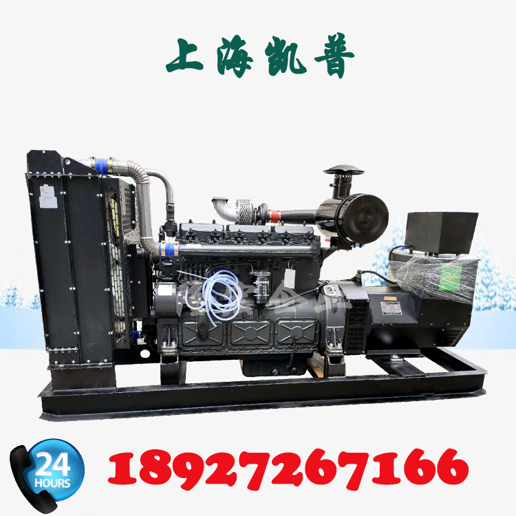 开架型 柴油发电机 250KW 上海凯普 发电机组 工厂直销 