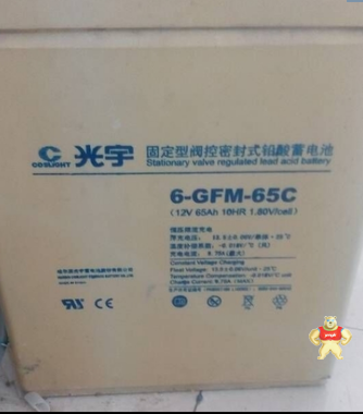 COSLIGHT光宇 蓄电池6-GFM-50 光宇 12V50Ah 基站通信 UPS 直流屏 光宇蓄电池,6-GFM-50,铅酸蓄电池,光宇电池,风能发电系统