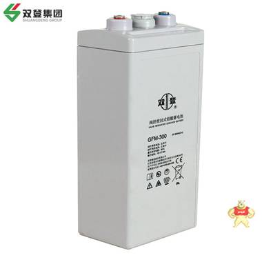 双登蓄电池2V300AH免维护GFM-300 阀控式蓄电池  直流屏 电源应急 双登蓄电池,2v300AH,阀控式蓄电池,UPS电池,后备蓄电池