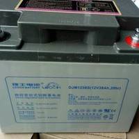 理士LEOCH蓄電池 DJM1238 12V38AH UPS電源 高壓房直流屏電池