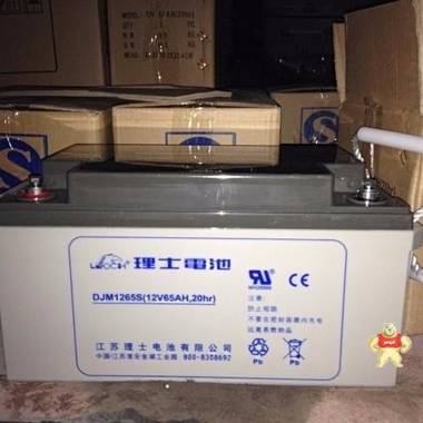 理士LEOCH蓄电池 DJM1238 12V38AH UPS电源 高压房直流屏电池 理士蓄电池,理士电池,理士12v5ah,理士消防蓄电池,理士应急蓄电池