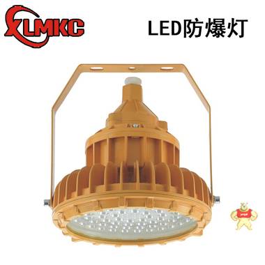 新黎明科创BZD180-101防爆免维护LED照明灯 100W防爆LED照明灯 新黎明,新黎明防爆灯,新黎明科创防爆灯,BZD180-101,100W防爆免维护LED照明灯