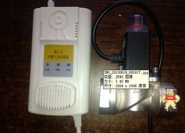 鼎诺DN-D1000独立式家用燃气报警器