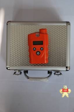 鼎诺DN-B1000型便携式可燃气体检测仪 