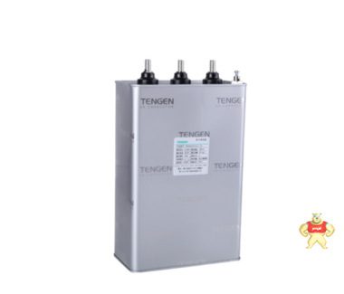 天正BSMJ0.45自愈式低压无功补偿并联电力电容器450v价格 电力电容器价格,电力电容器特点,电力电容器安装说明