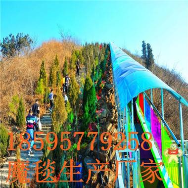 景區(qū)七彩云梯生產(chǎn)并搭建一系列服務(wù)選諾泰克廠家 