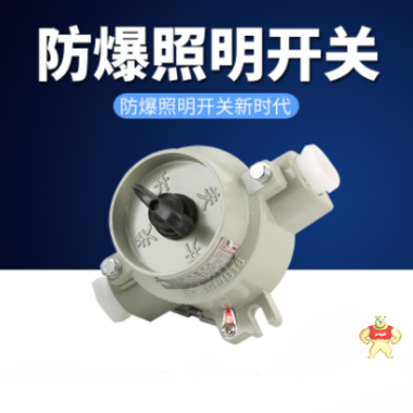 創(chuàng)新SW-10防爆墻壁照明開關(guān)特點(diǎn) 防爆開關(guān)的特點(diǎn),防爆墻壁照明開關(guān)價(jià)格,防爆照明開關(guān)的適用范圍,防爆開關(guān)原理,防爆照明開關(guān)廠家