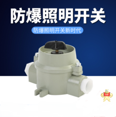創(chuàng)新SW-10防爆墻壁照明開關(guān)特點(diǎn) 防爆開關(guān)的特點(diǎn),防爆墻壁照明開關(guān)價(jià)格,防爆照明開關(guān)的適用范圍,防爆開關(guān)原理,防爆照明開關(guān)廠家