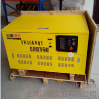 美國閃威質(zhì)保三年20kw汽油發(fā)電機