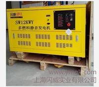美國閃威質(zhì)保三年20kw汽油發(fā)電機