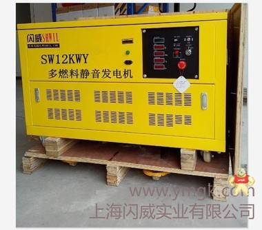 路政20kw汽油發(fā)電機(jī)價(jià)格美國(guó)閃威品牌 