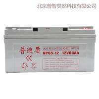 普迪盾阀控式铅酸免维护蓄电池NPG65-12 12V65AH UPS蓄电池 EPS电源 直流屏用