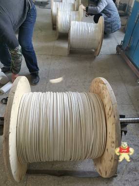 氟塑料绝缘耐高温控制电缆 安徽华泰电缆有限公司 